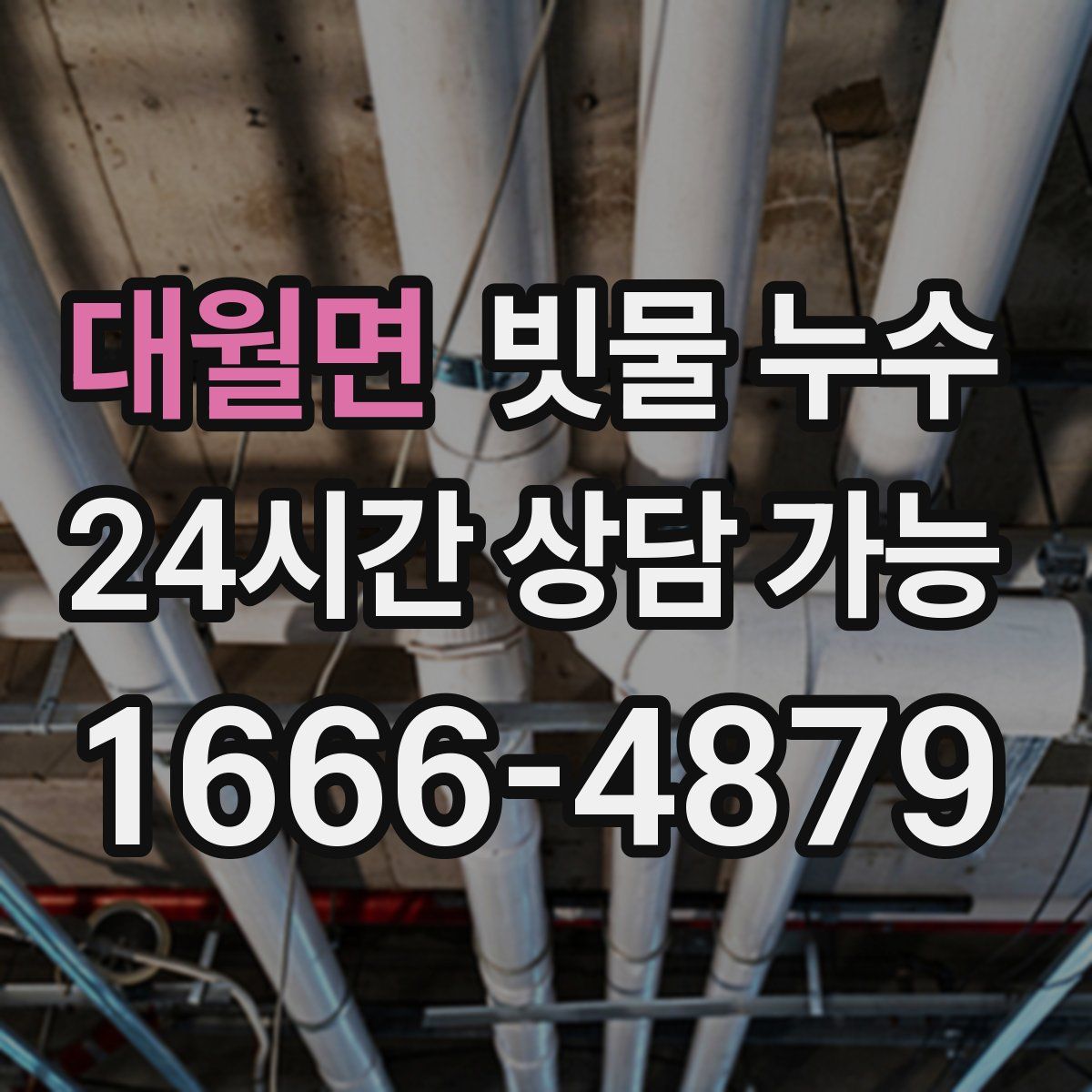대월면 빗물 누수