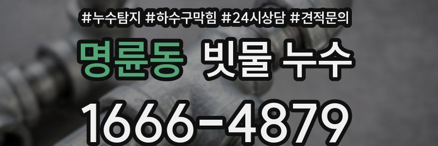 명륜동 빗물 누수