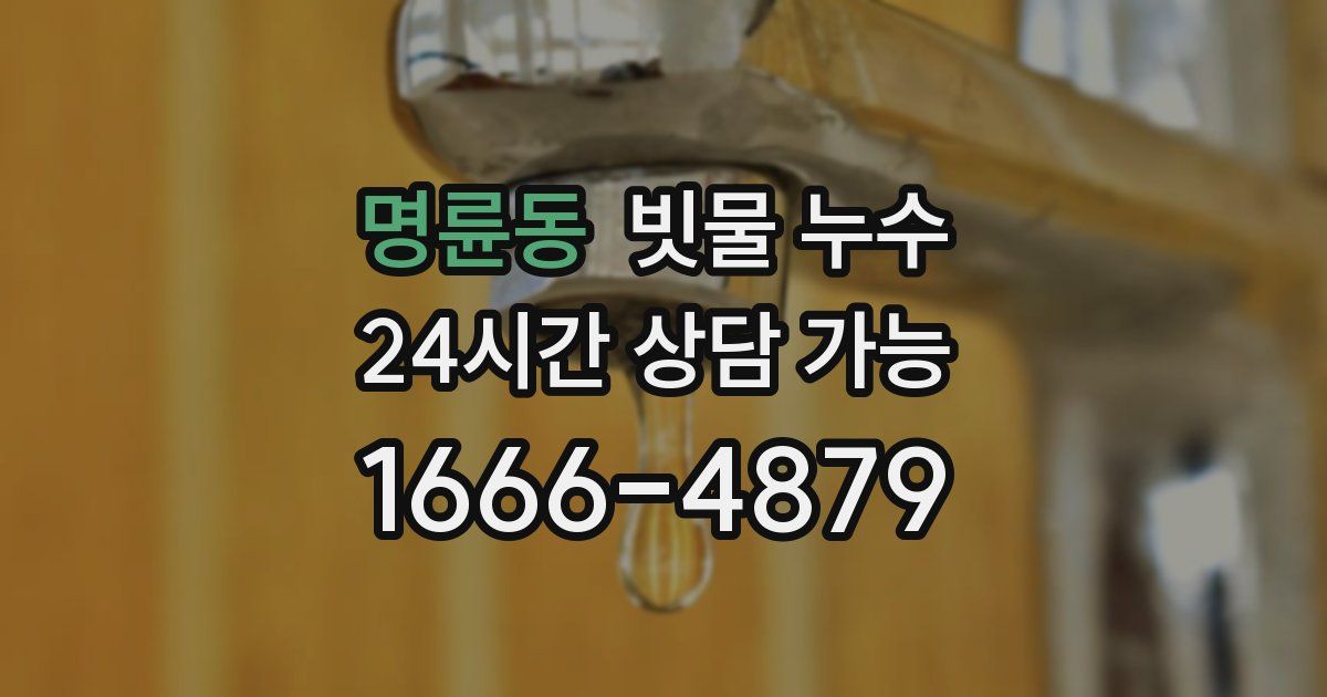 명륜동 빗물 누수