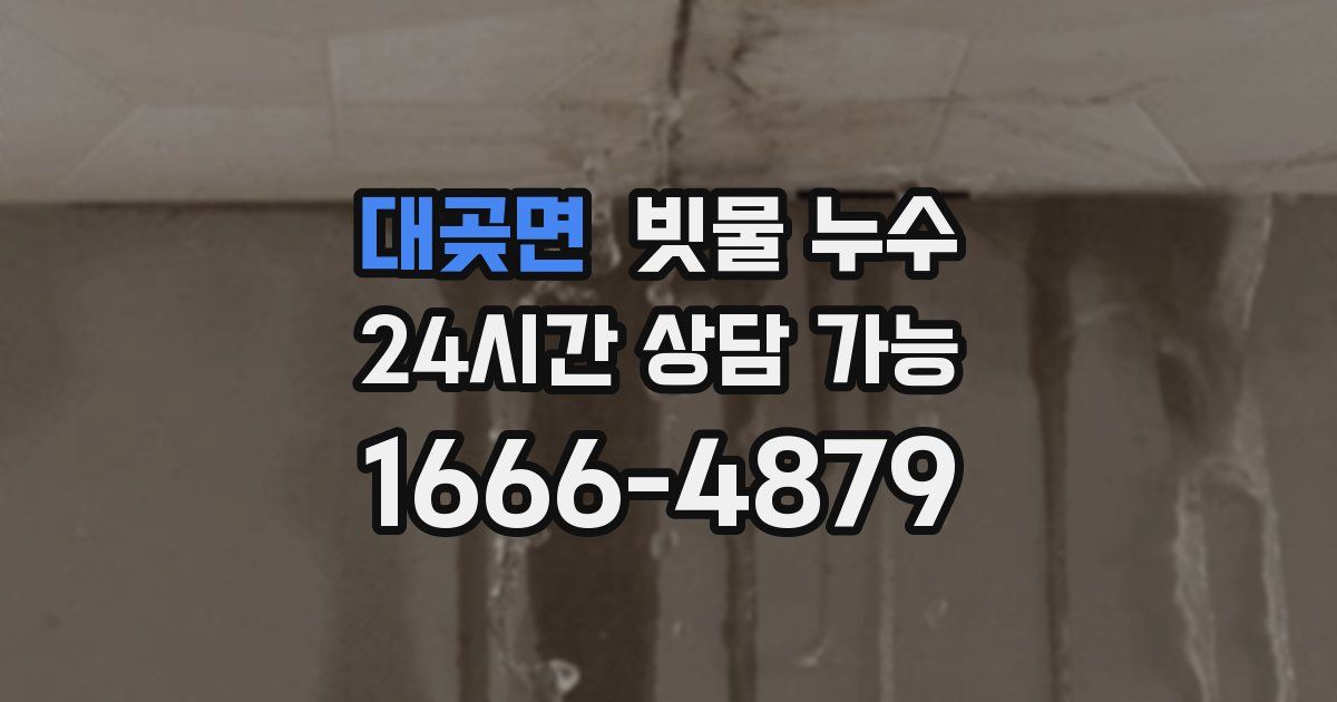 대곶면 빗물 누수