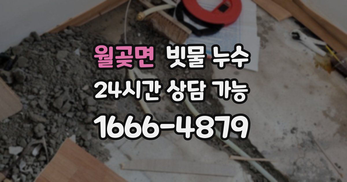 월곶면 빗물 누수