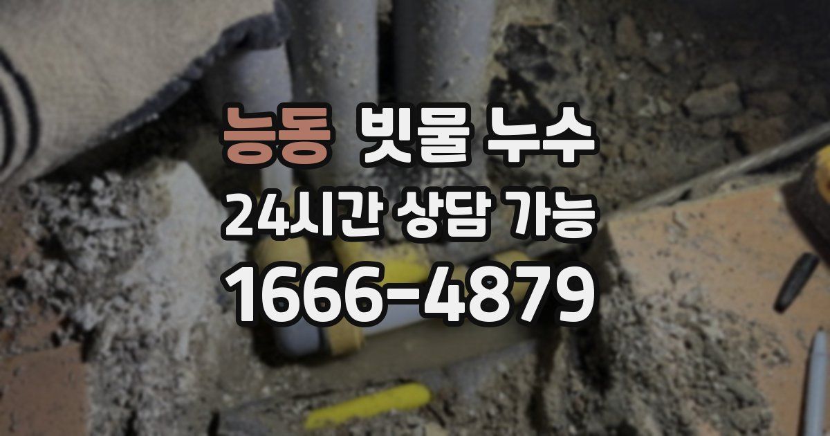 능동 빗물 누수