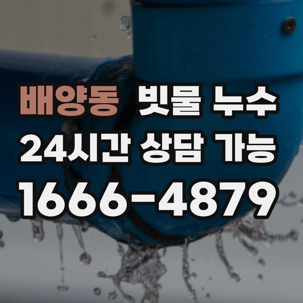 배양동 빗물 누수