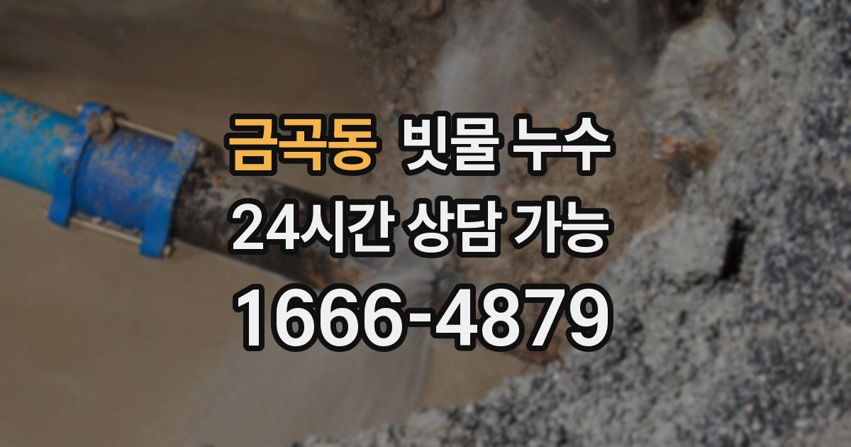 금곡동 빗물 누수