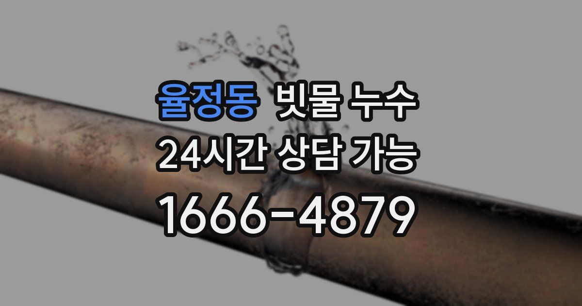 율정동 빗물 누수