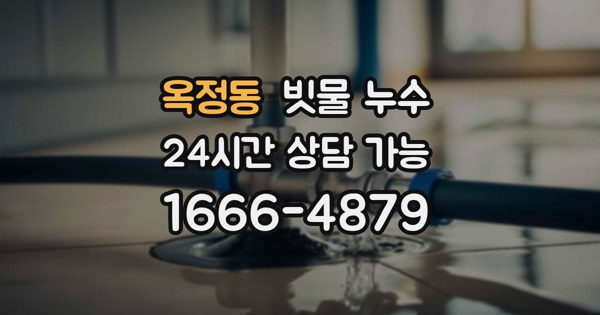 옥정동 빗물 누수