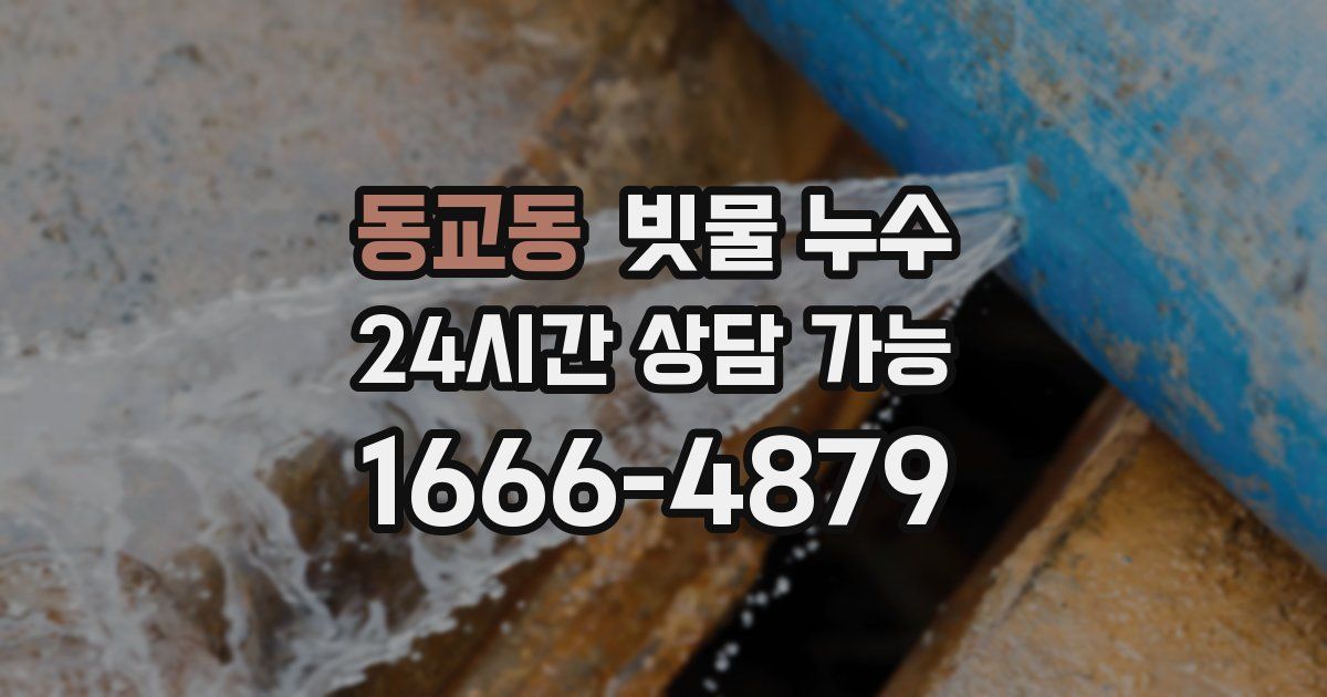 동교동 빗물 누수