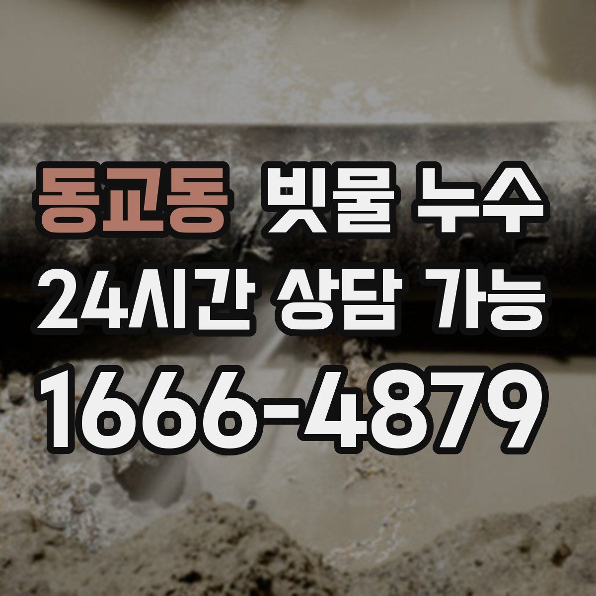 동교동 빗물 누수