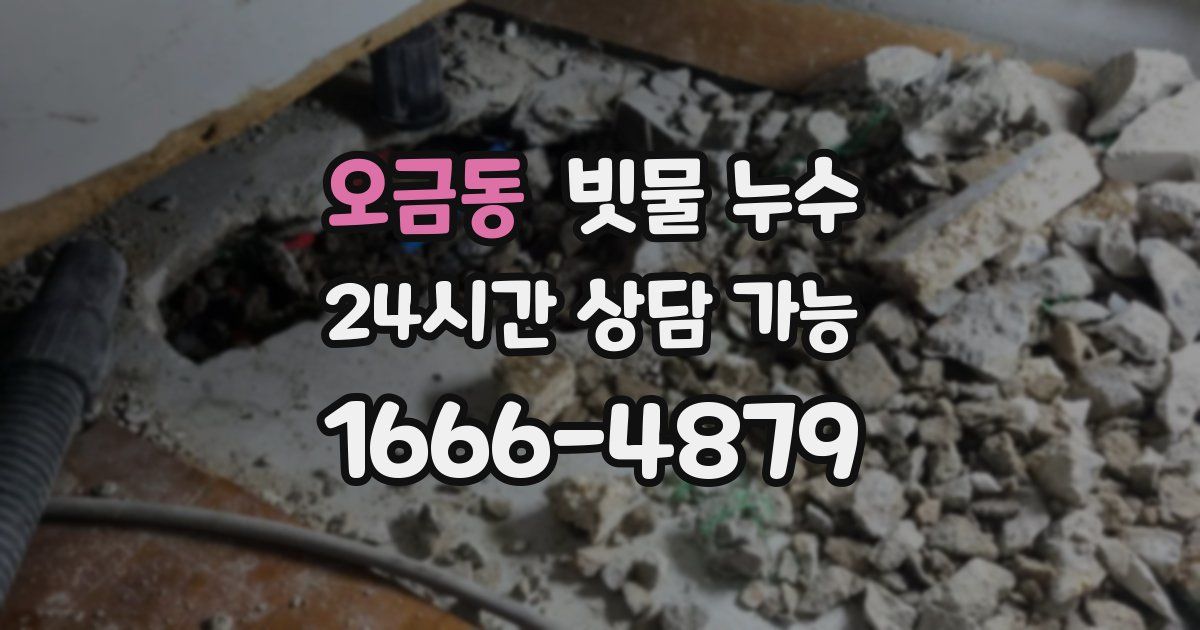 오금동 빗물 누수