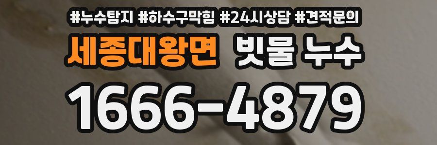 세종대왕면 빗물 누수