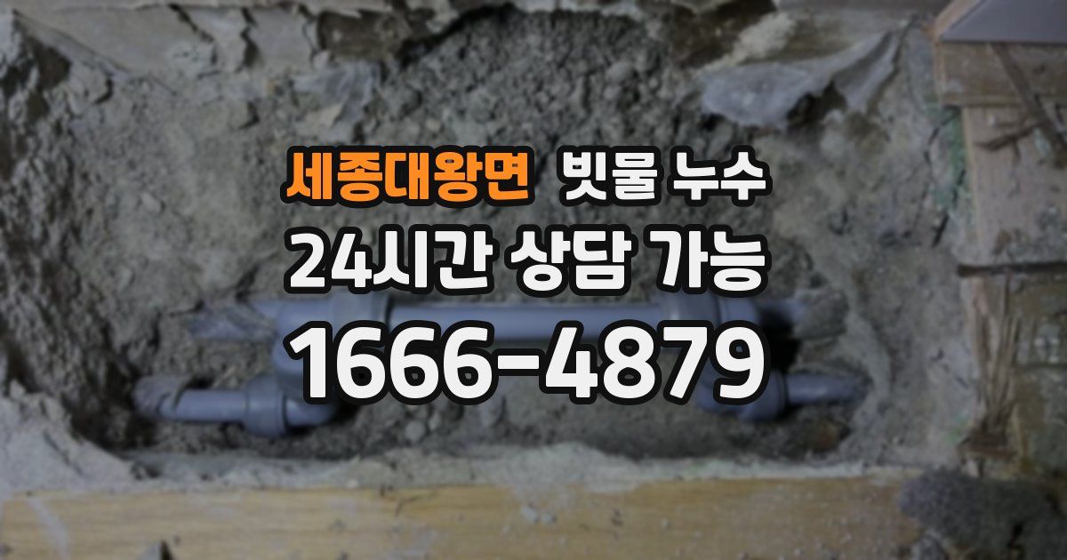 세종대왕면 빗물 누수
