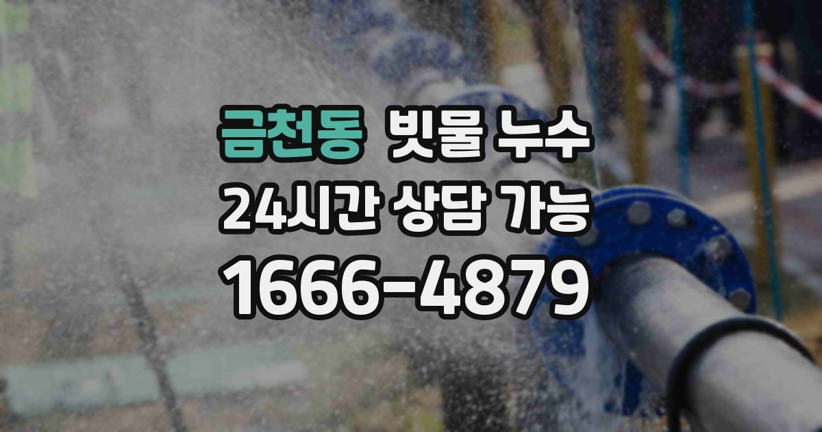 금천동 빗물 누수