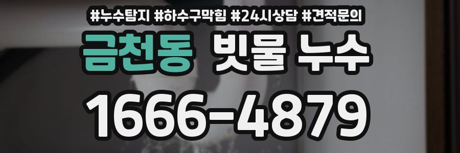 금천동 빗물 누수