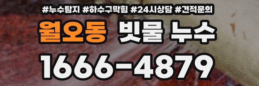 월오동 빗물 누수