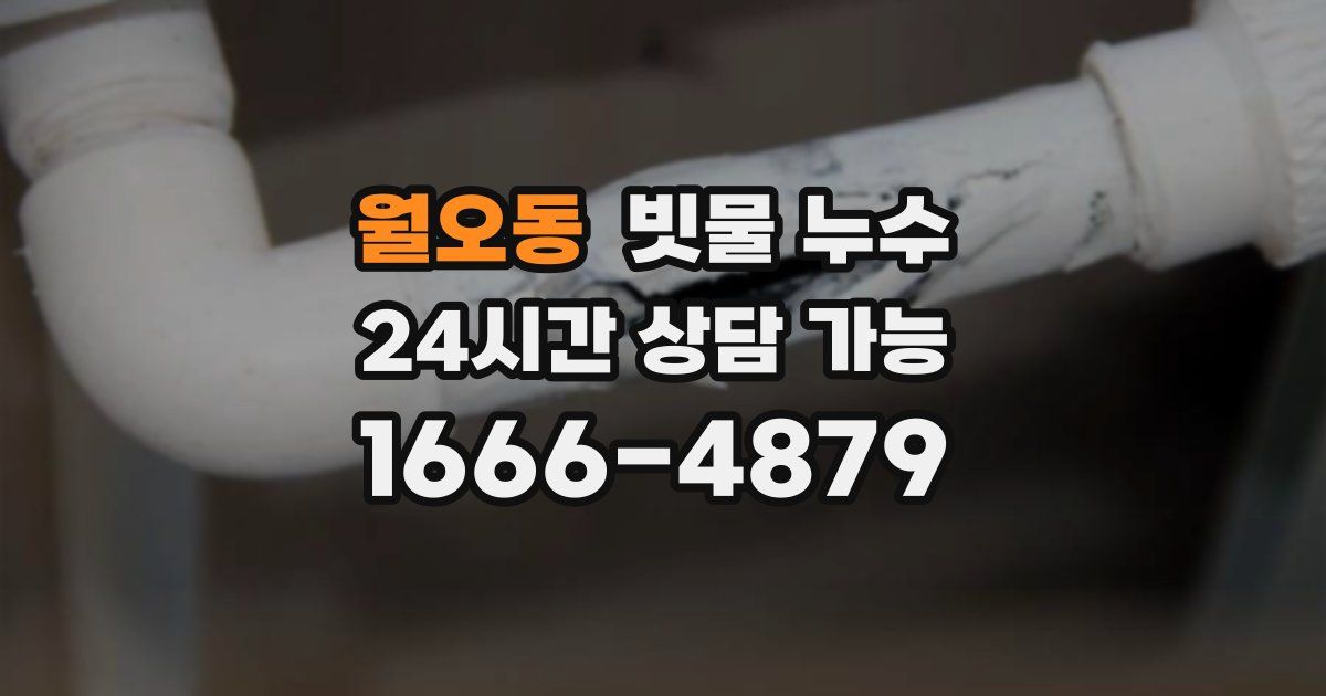 월오동 빗물 누수