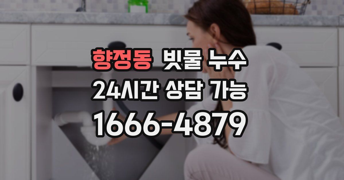 향정동 빗물 누수