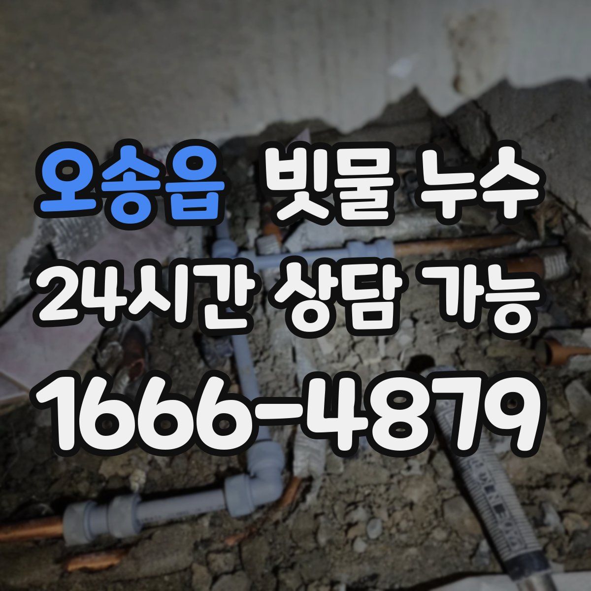 오송읍 빗물 누수