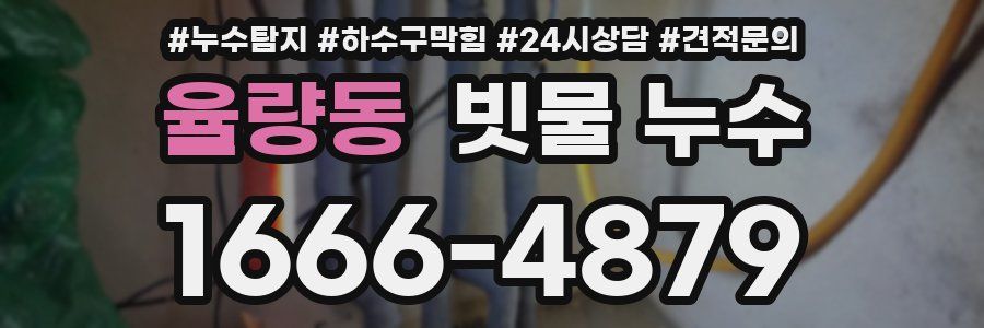 율량동 빗물 누수
