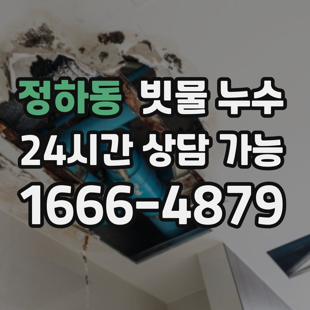 정하동 빗물 누수