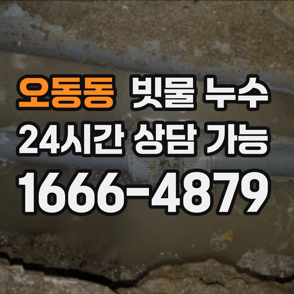 오동동 빗물 누수