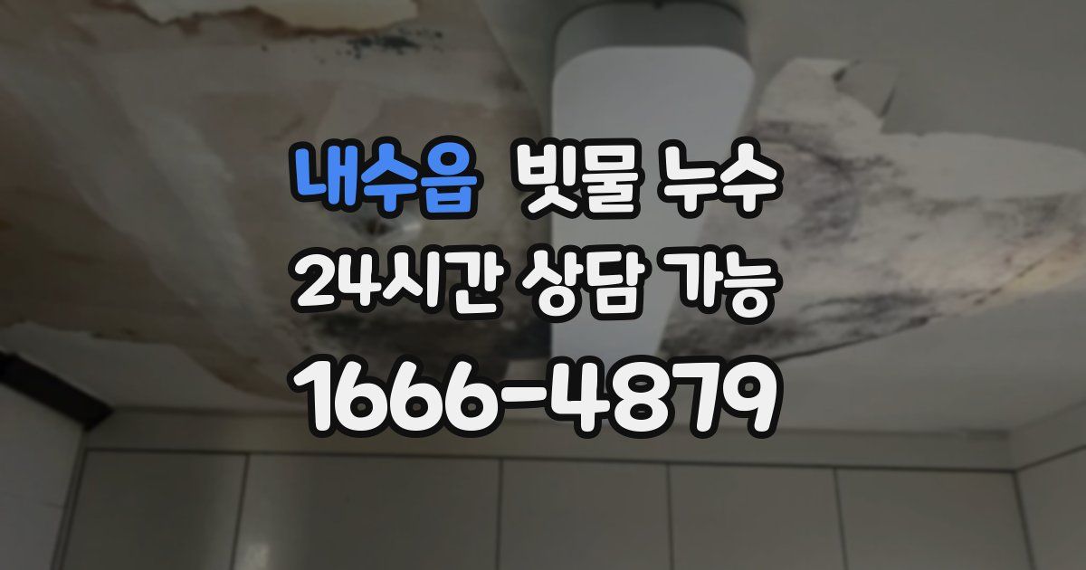 내수읍 빗물 누수