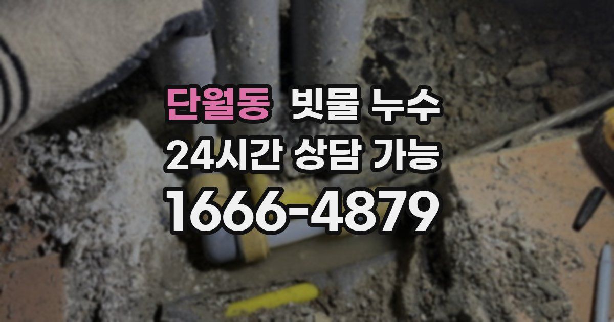단월동 빗물 누수