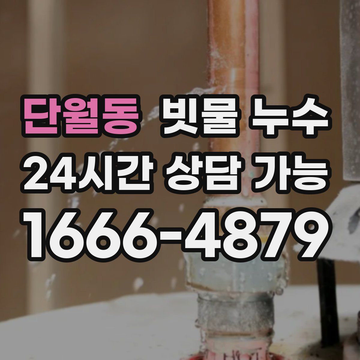 단월동 빗물 누수