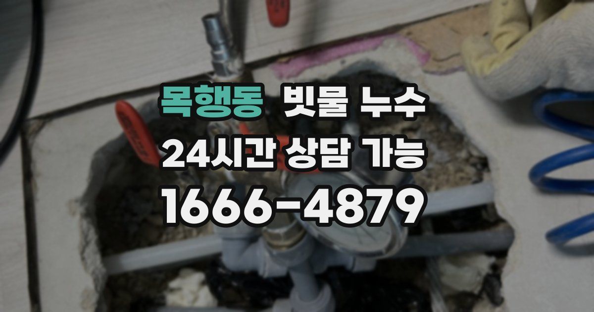 목행동 빗물 누수