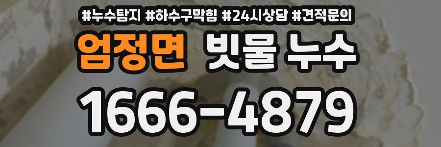 엄정면 빗물 누수