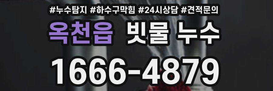 옥천읍 빗물 누수