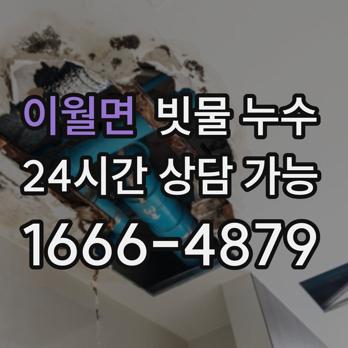 이월면 빗물 누수