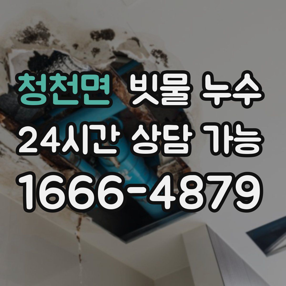 청천면 빗물 누수