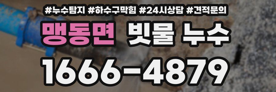 맹동면 빗물 누수