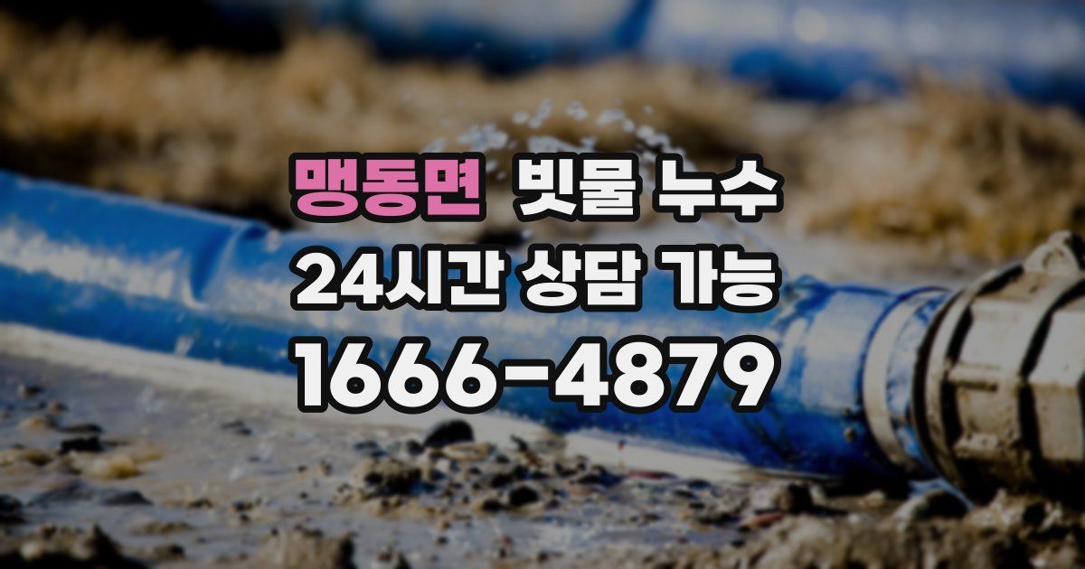 맹동면 빗물 누수