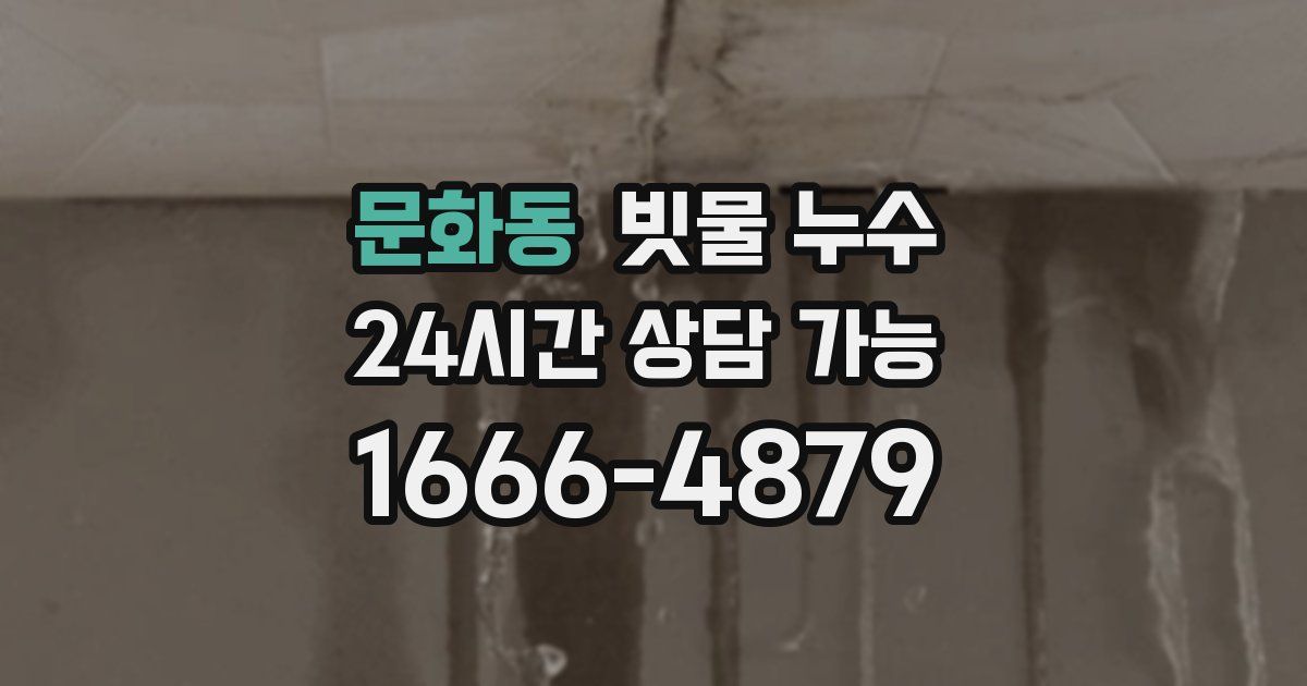 문화동 빗물 누수