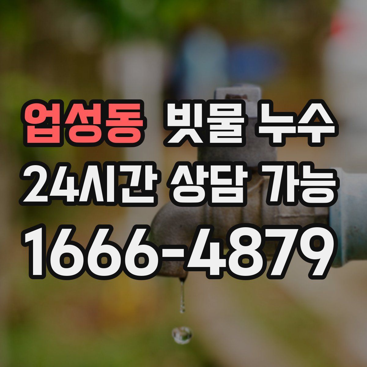 업성동 빗물 누수