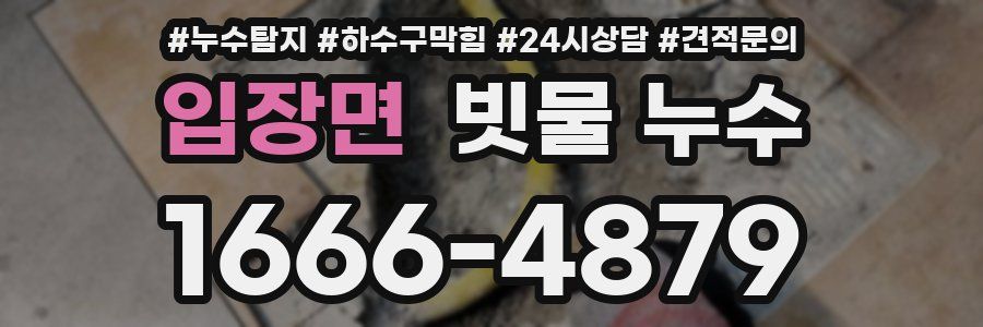 입장면 빗물 누수