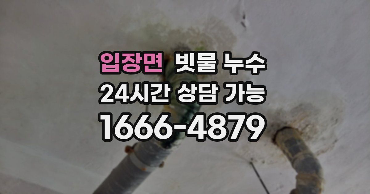 입장면 빗물 누수