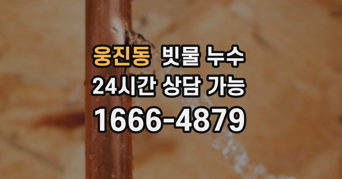 웅진동 빗물 누수