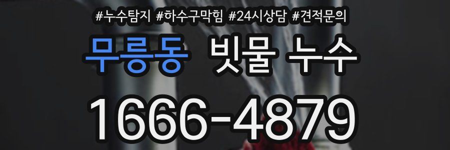 무릉동 빗물 누수
