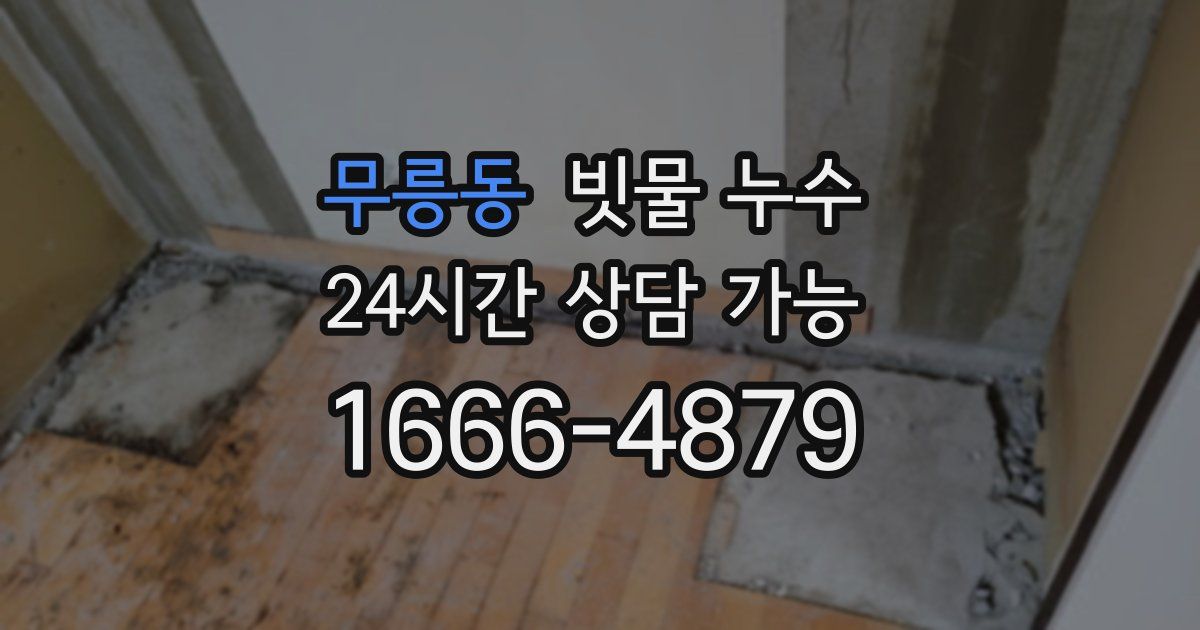 무릉동 빗물 누수