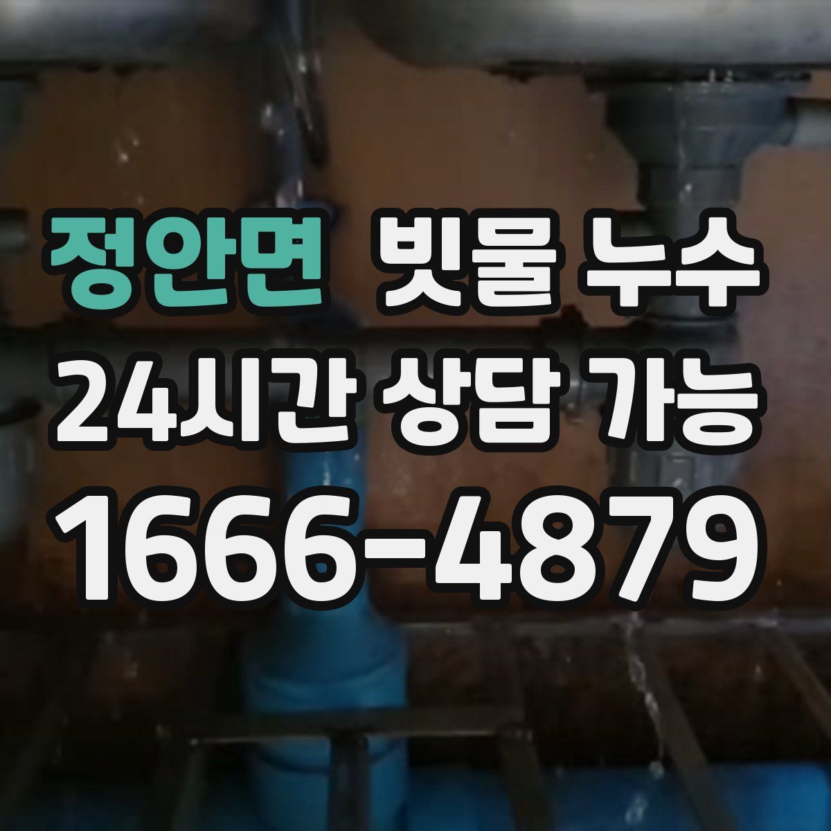 정안면 빗물 누수