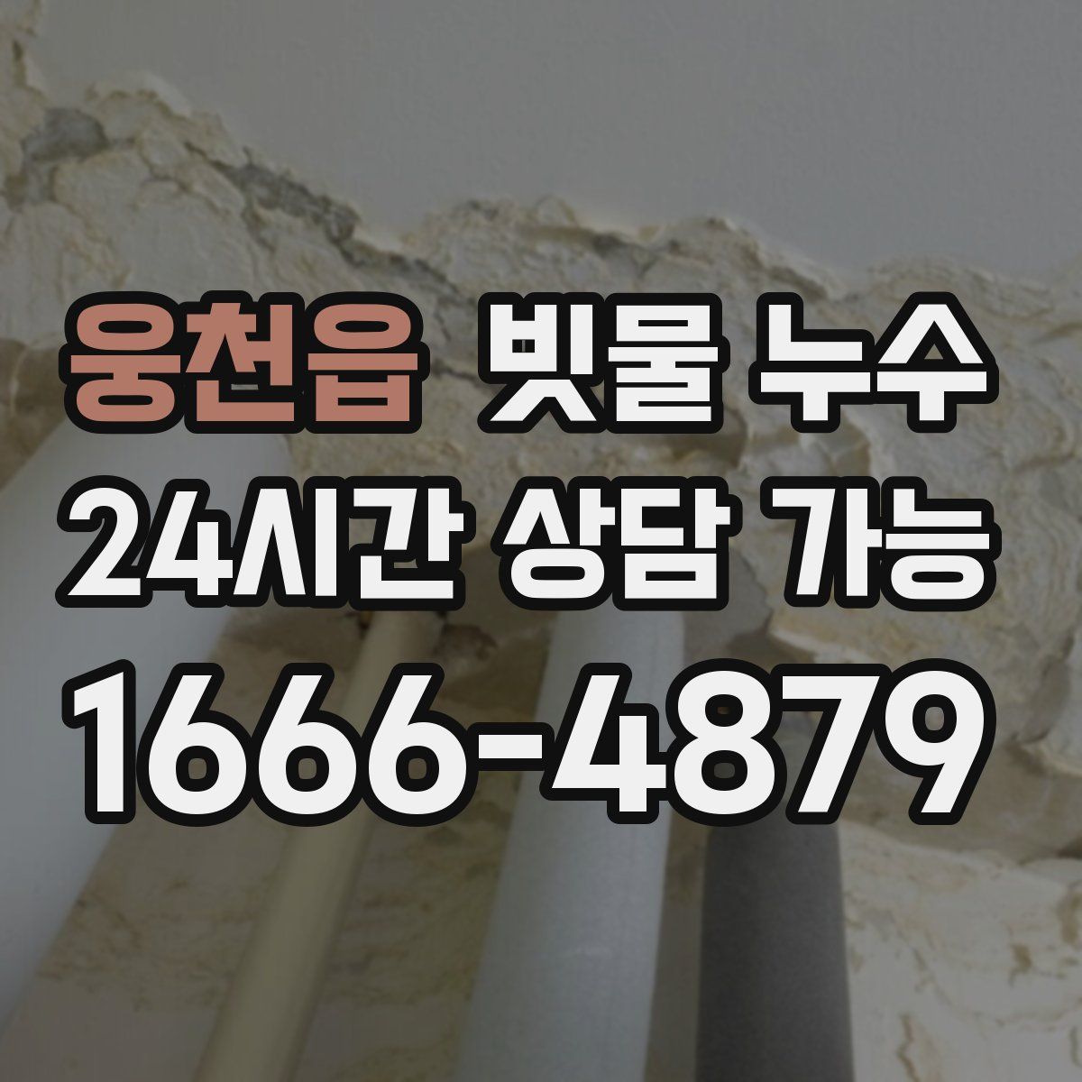 웅천읍 빗물 누수