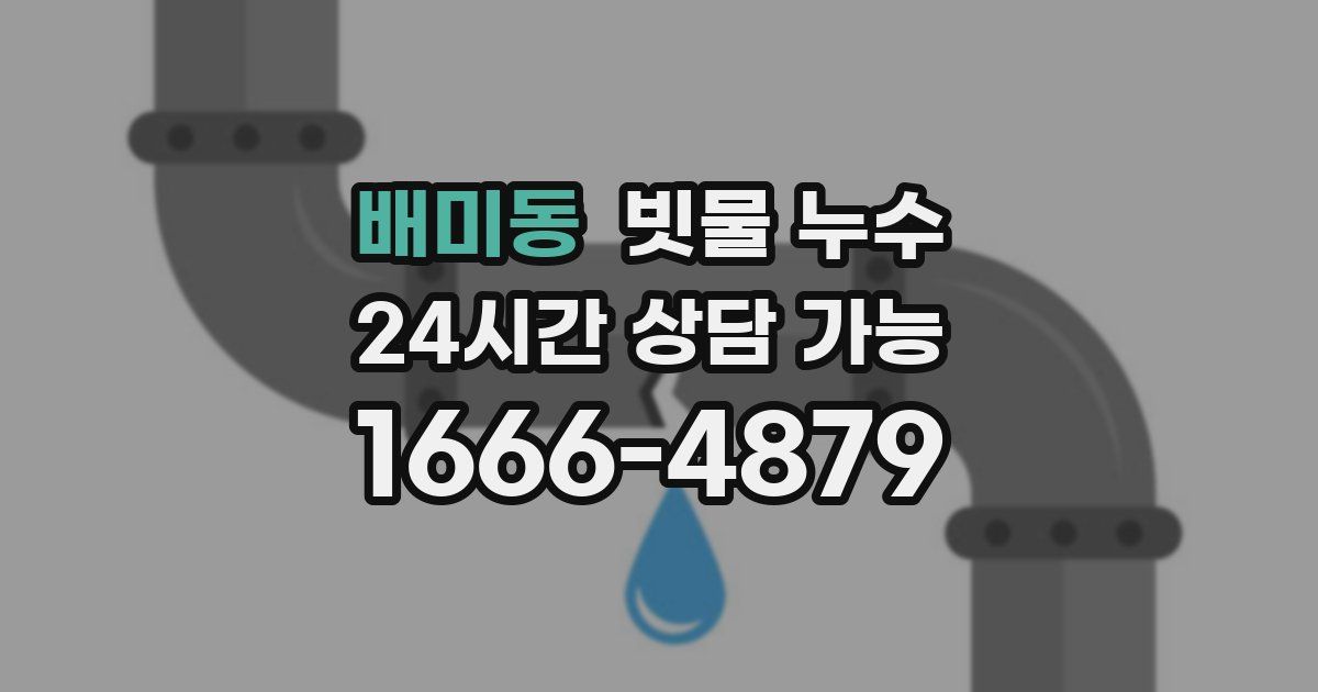 배미동 빗물 누수