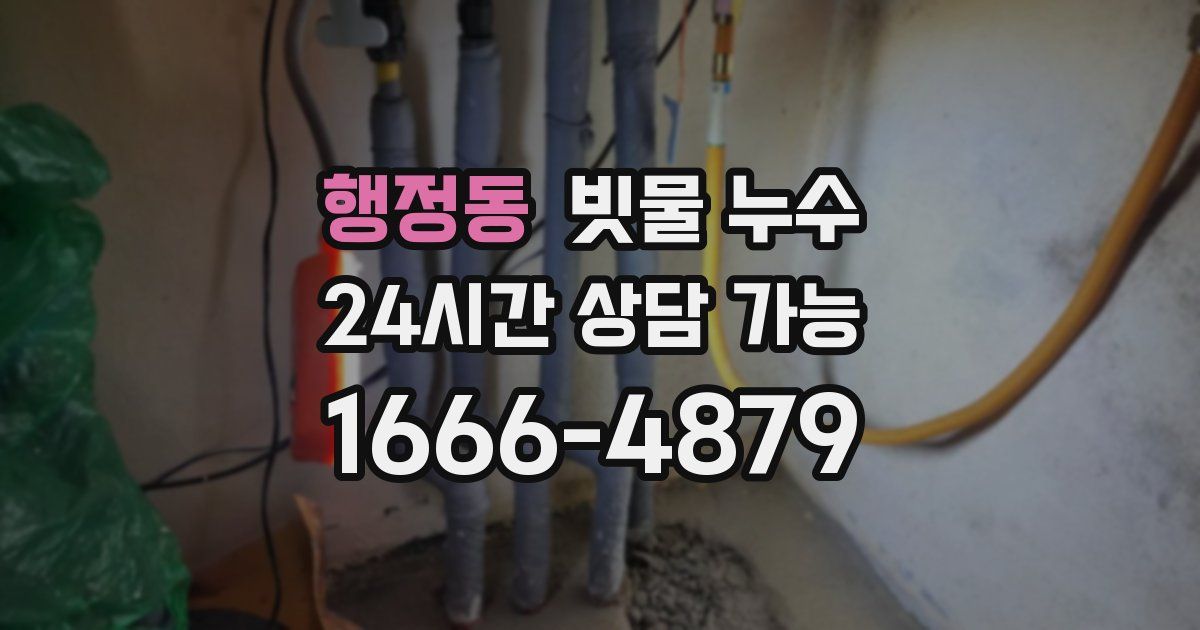 행정동 빗물 누수