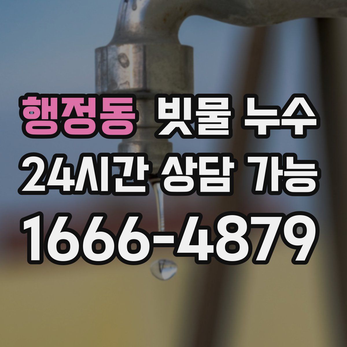 행정동 빗물 누수