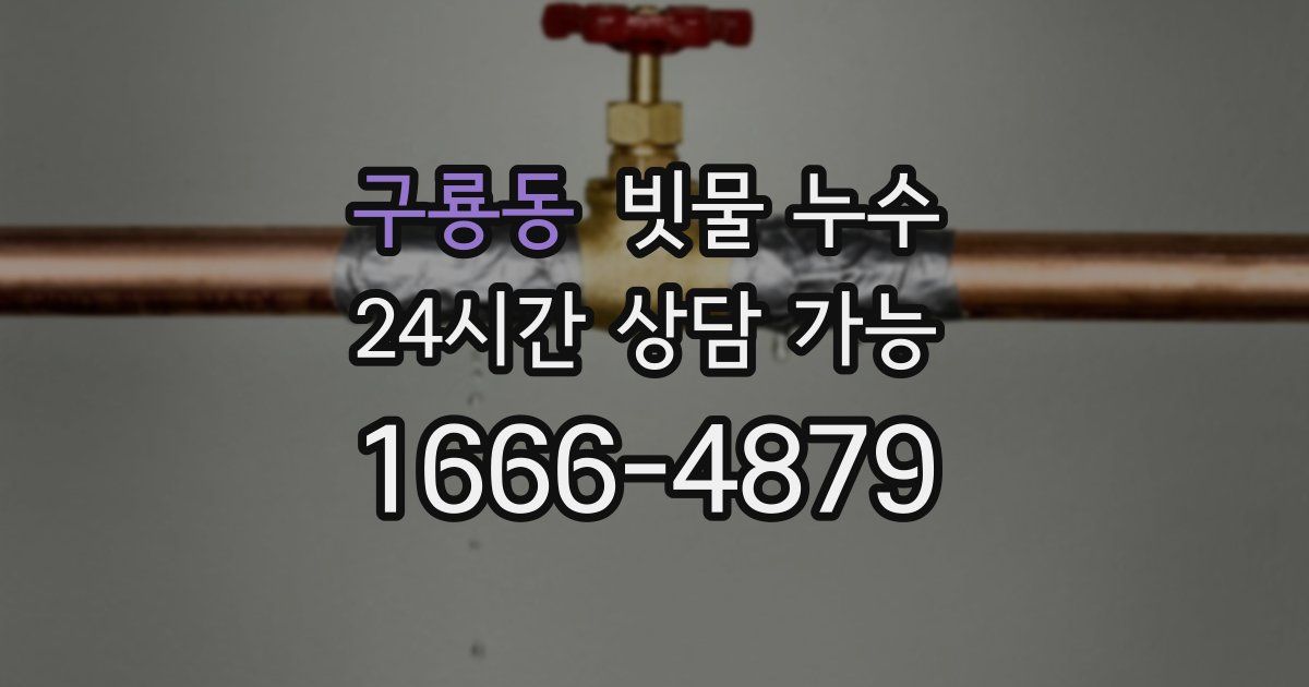 구룡동 빗물 누수