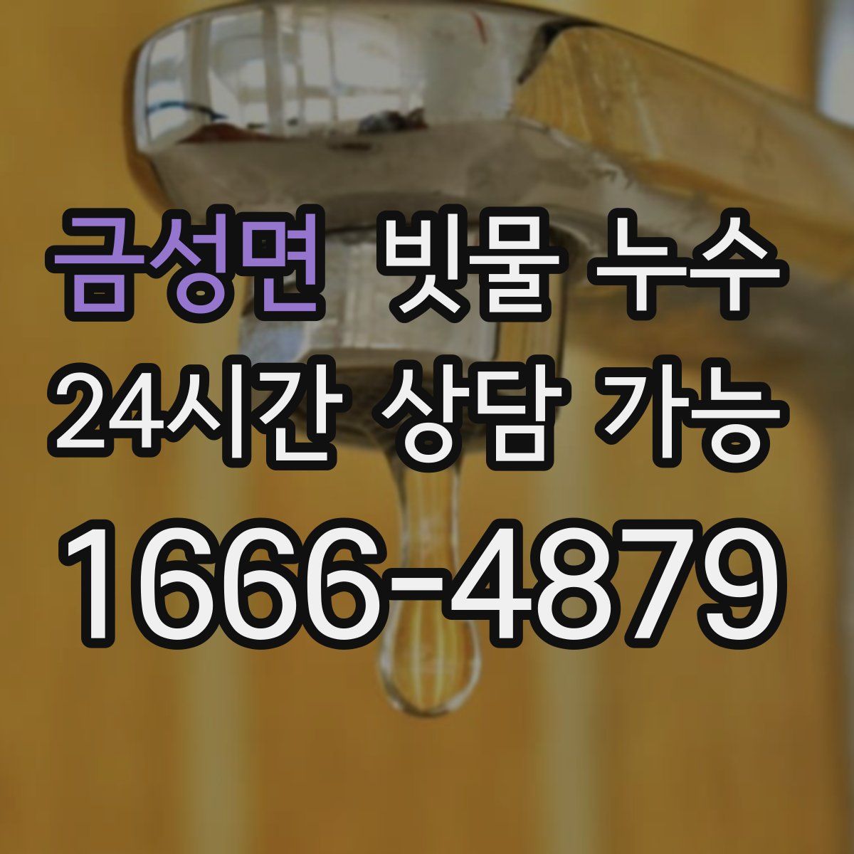 금성면 빗물 누수