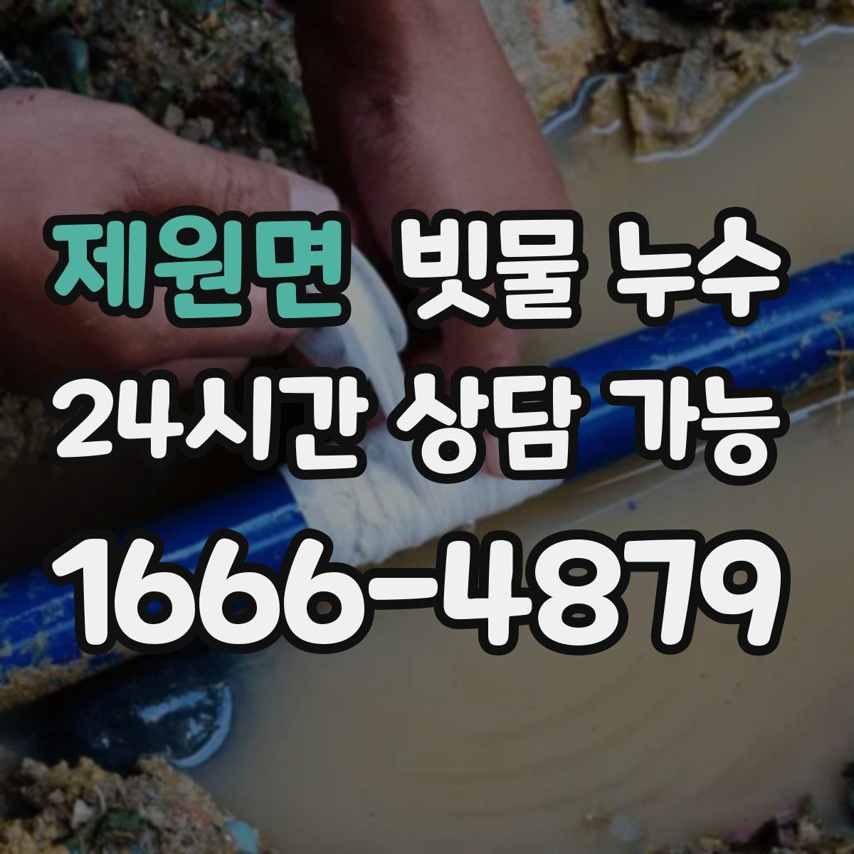 제원면 빗물 누수