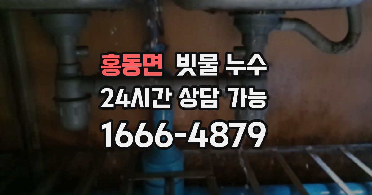 홍동면 빗물 누수